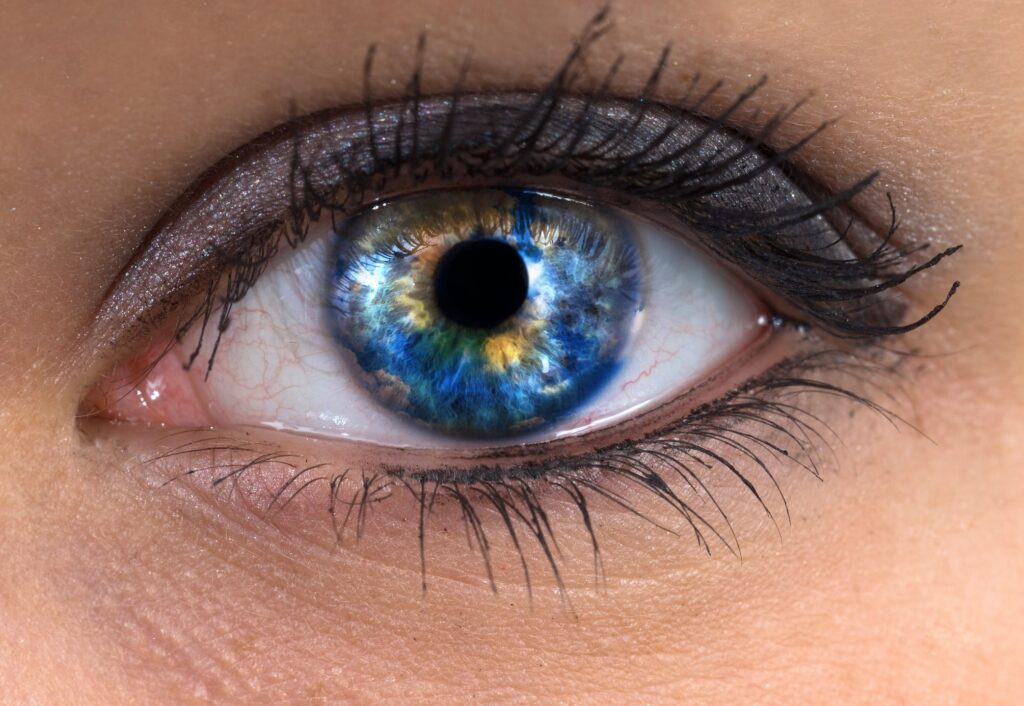 The Holistic Approach to Eye Care: Understanding the Vision-Mind-Body Connection